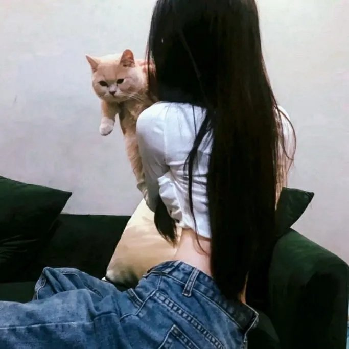 毒。诫